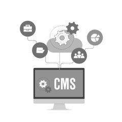 CMS Content Management Services